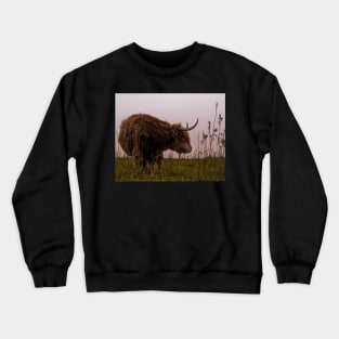 Scottish Highlander Crewneck Sweatshirt